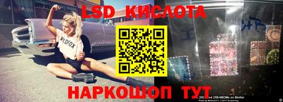 шишки Славянск-на-Кубани