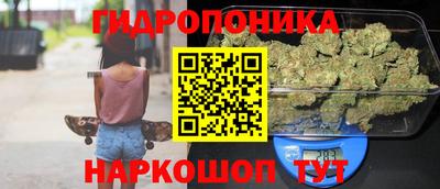 дживик Славгород