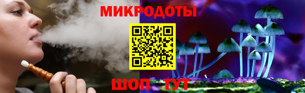 Новодвинск  Псилоцибиновые грибы Psilocybe  Вход с VPN 